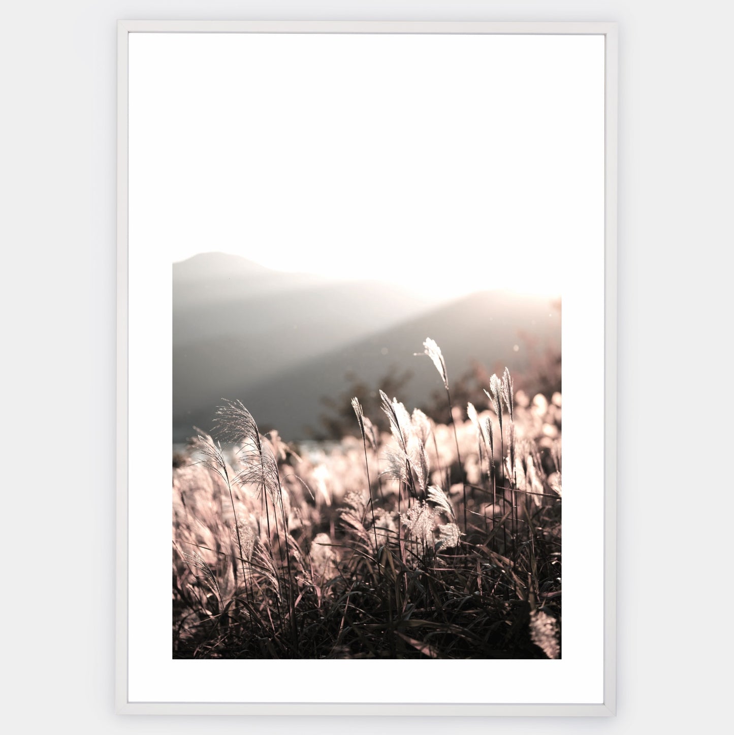 Boho poster with a photo of a sunset in nature