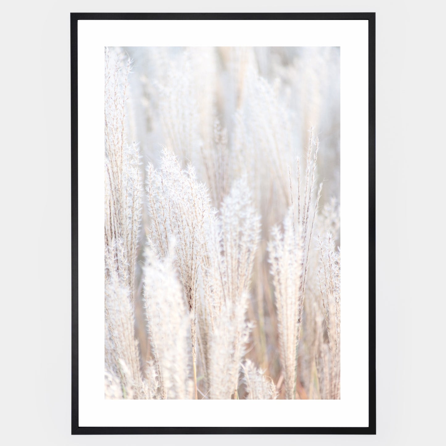Boho poster with a photo of dry grass