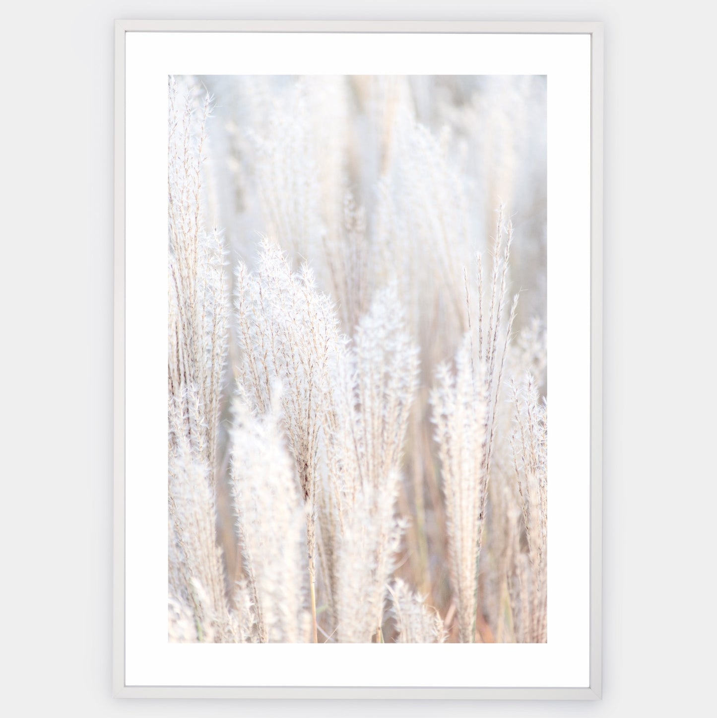 Boho poster with a photo of dry grass