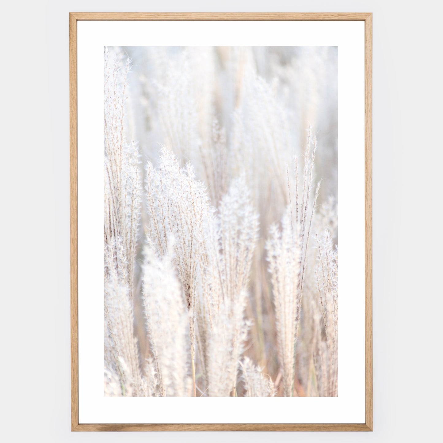 Boho poster with a photo of dry grass