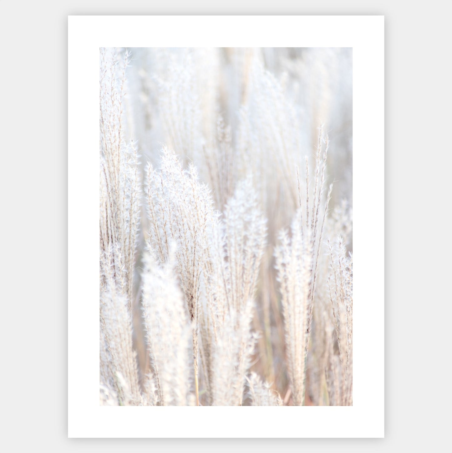 Boho poster with a photo of dry grass