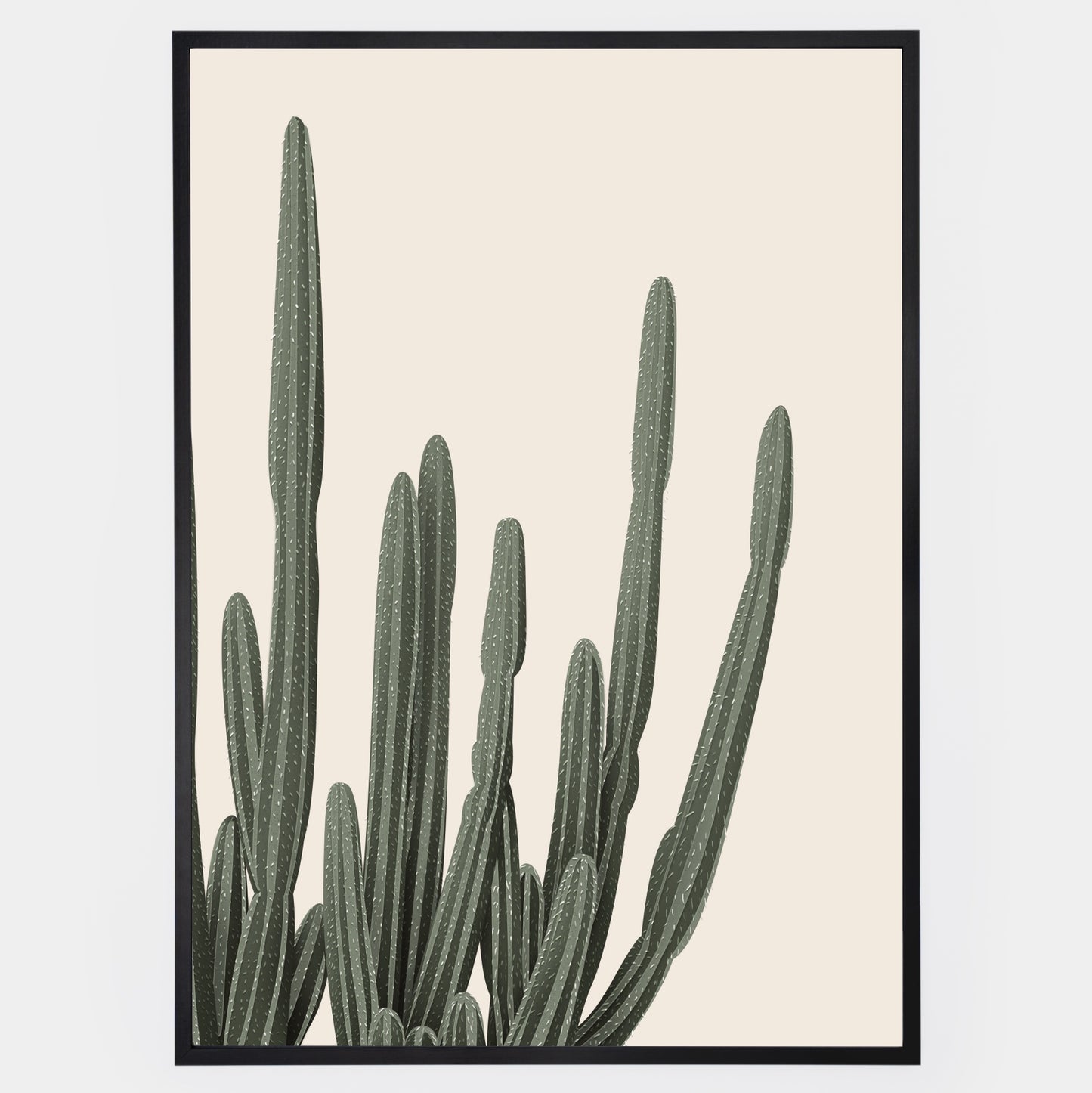 Plakát Cactus Duo 2