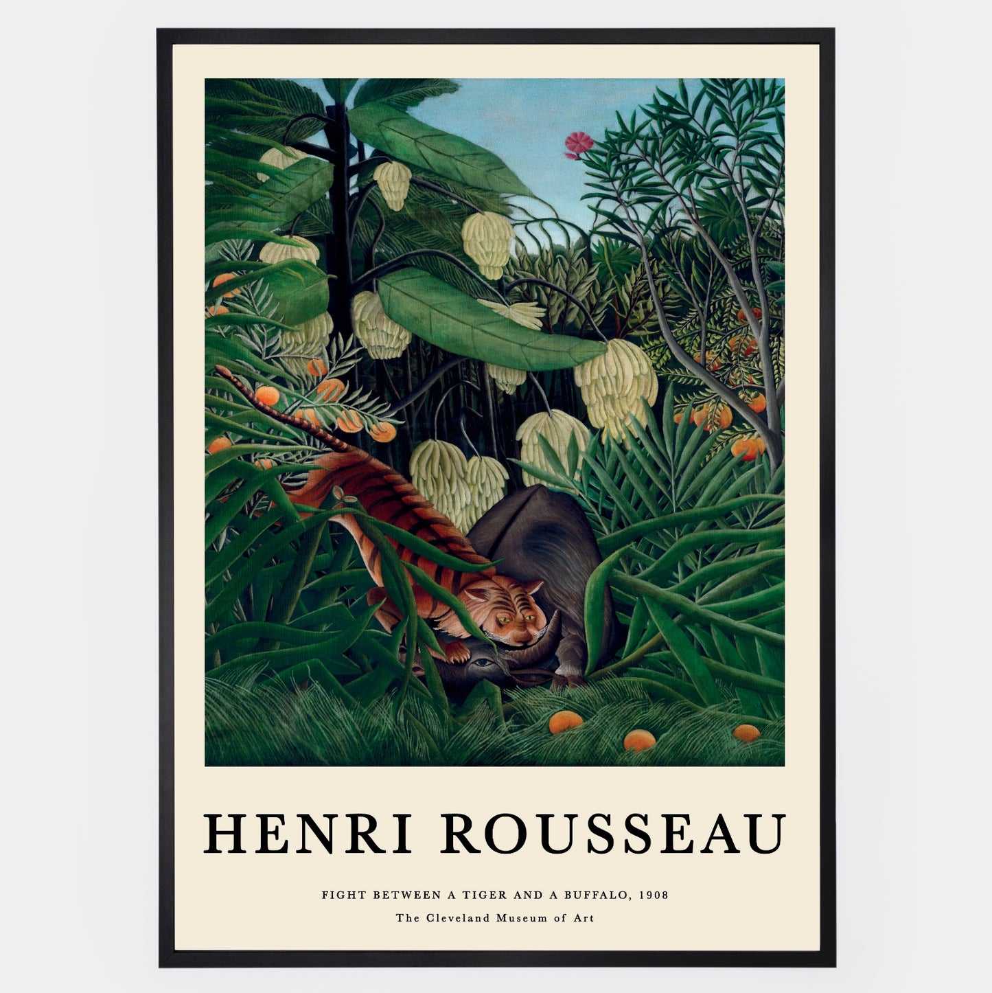 Plakát Fight Between a Tygr a Buffalo | Henri Rousseau