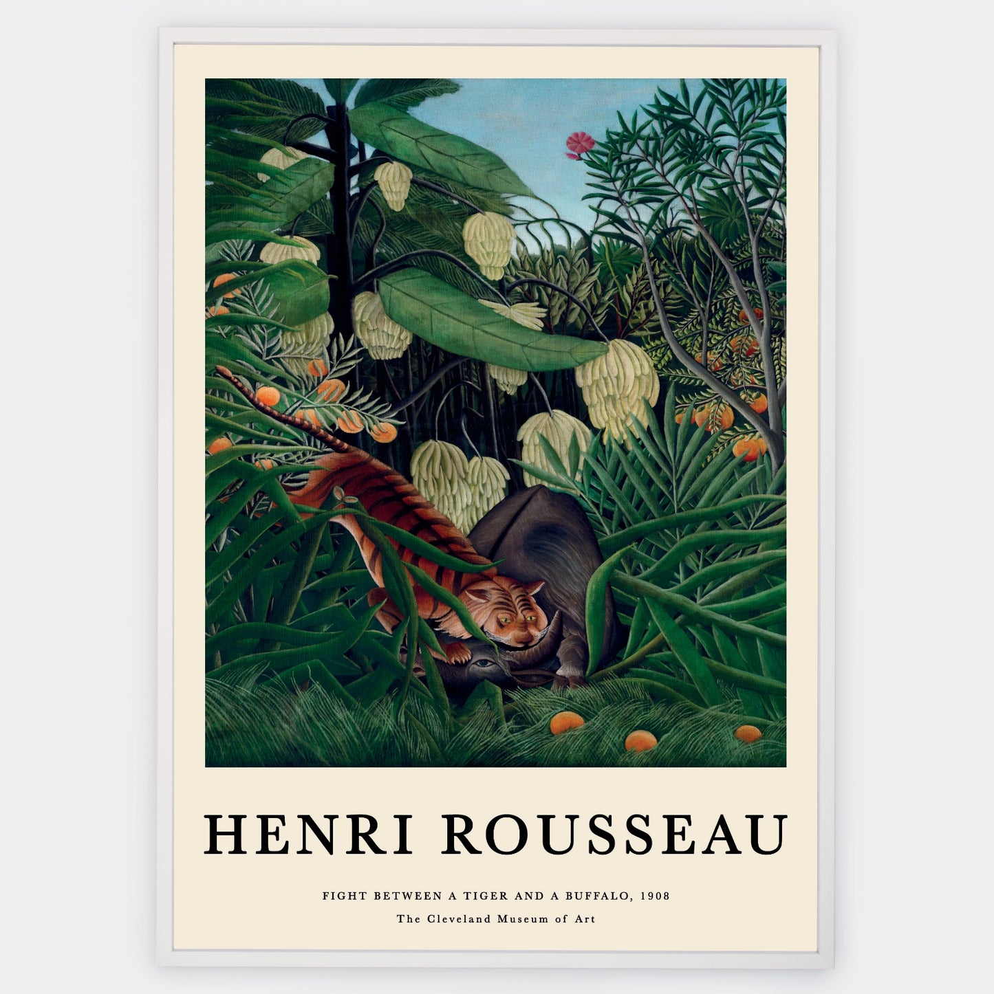 Plakát Fight Between a Tygr a Buffalo | Henri Rousseau