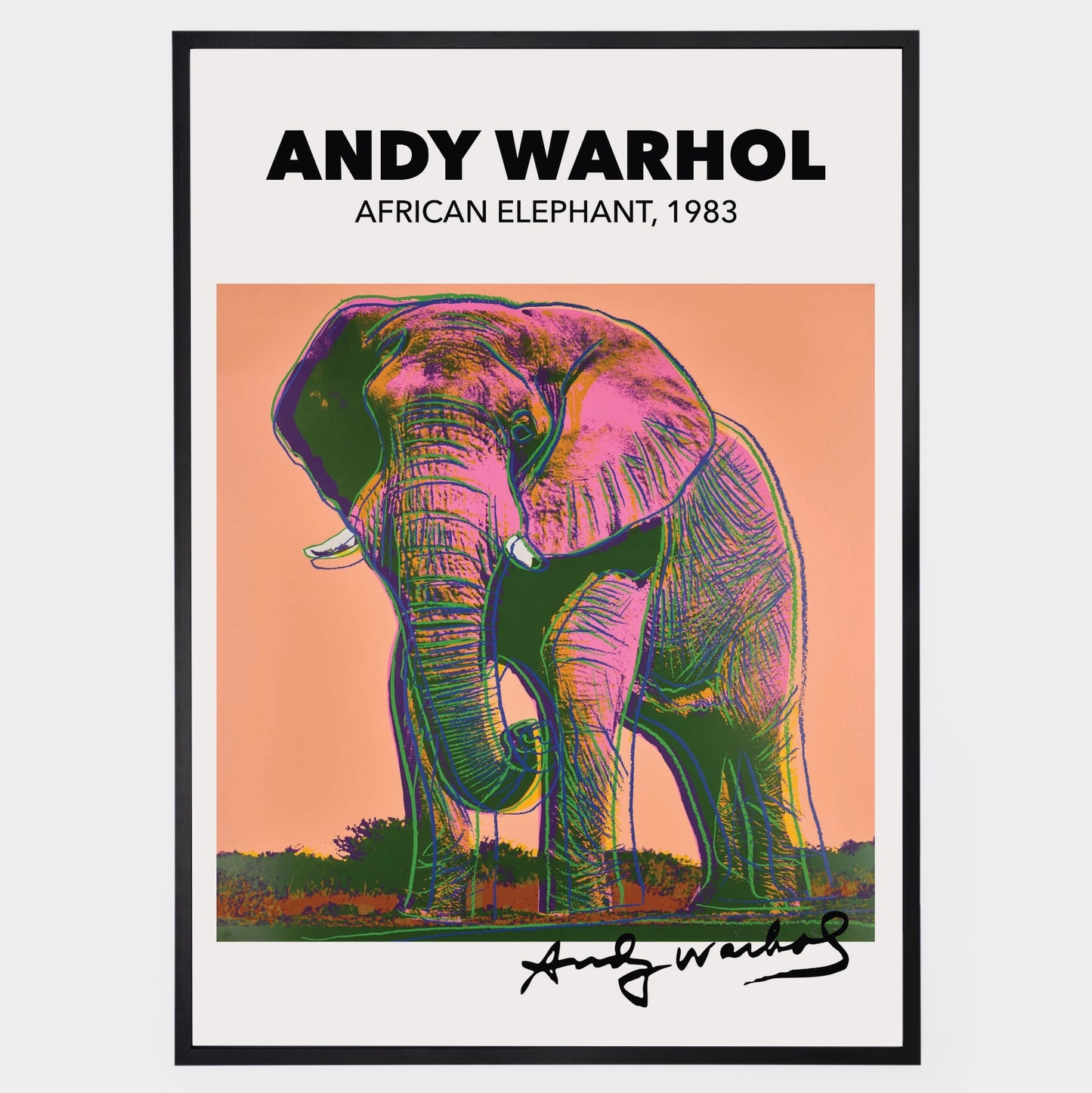 Plakát African Elephant | Andy Warhol