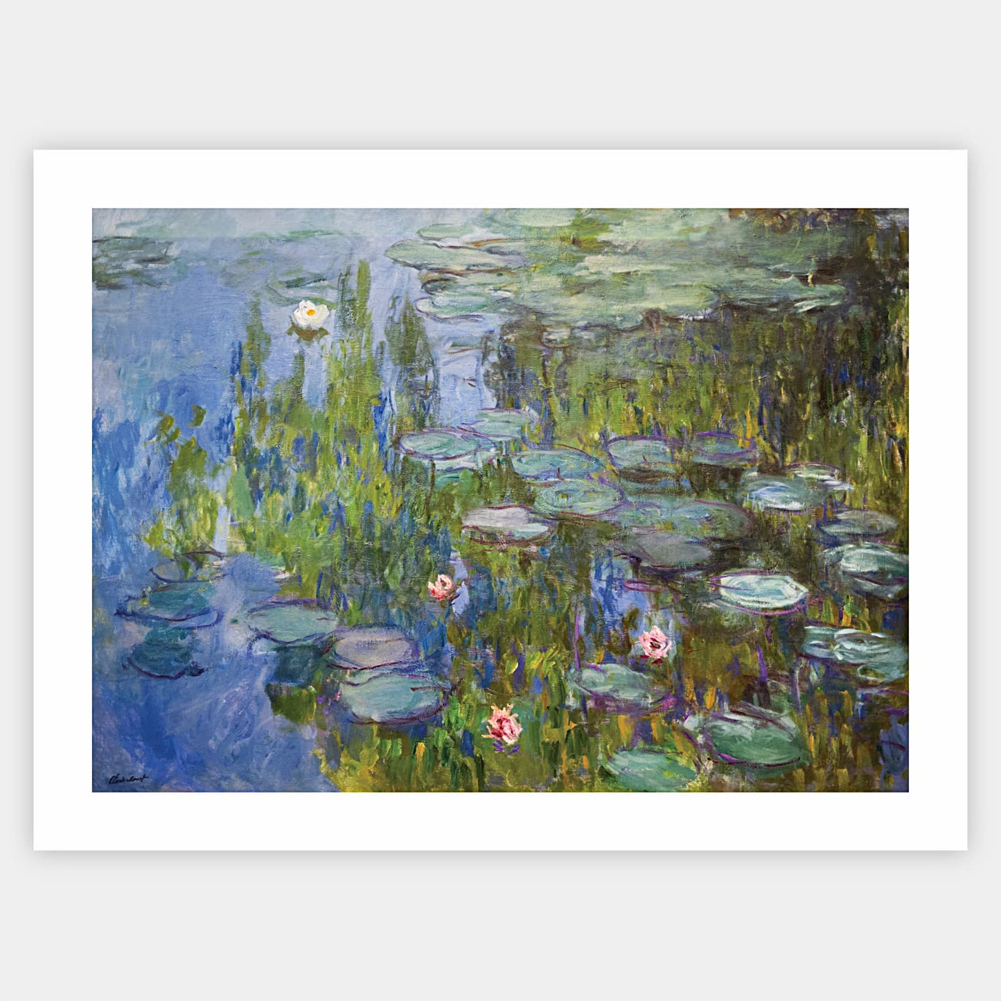 Plakát Lekníny | Claude Monet