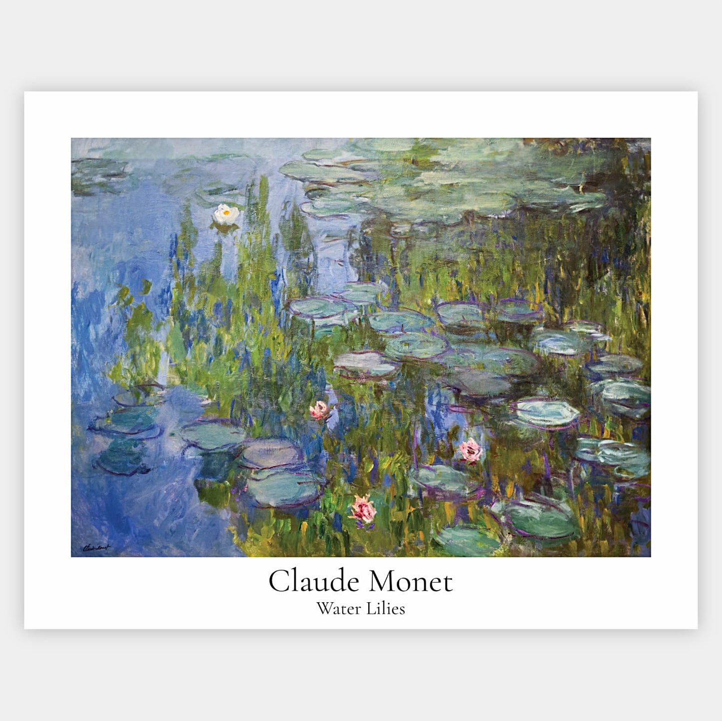 Plakát Lekníny | Claude Monet